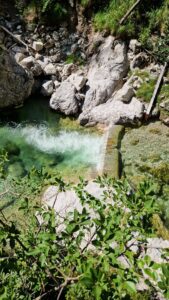 Türkisgrüner Gumpen mit kleinem Wasserfall im Naturpark Ötscher-Tormäuer