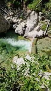 Türkisgrüner Gumpen mit kleinem Wasserfall im Naturpark Ötscher-Tormäuer