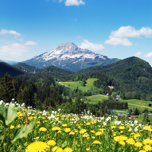 Blick zum Ötscher