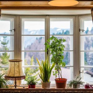 Kräuterhäusl – Fenster mit Blumen